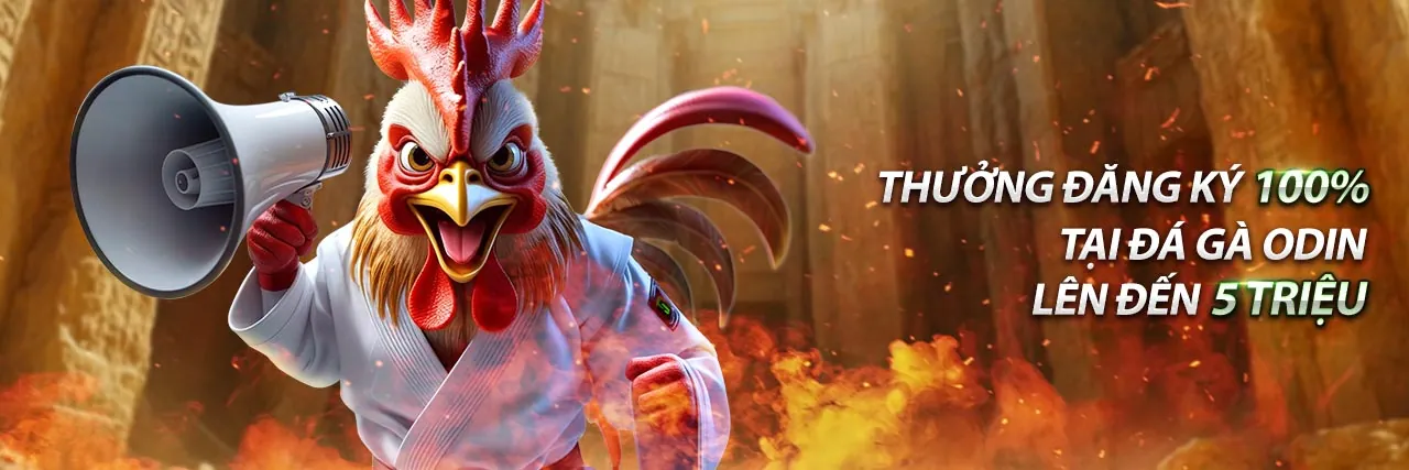 Hoàn trả hàng ngày khi chơi bắn cá